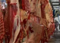 Only Intestines left, Cattle Rustlers Slaughter 5 Cows in Late Kidimu’s Kraal, Make Off With Meat in Kabwangasi Town Council, Butebo