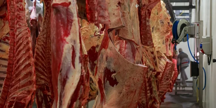 Only Intestines left, Cattle Rustlers Slaughter 5 Cows in Late Kidimu’s Kraal, Make Off With Meat in Kabwangasi Town Council, Butebo