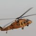 Bird Strike Forces Emergency Landing of President Herzog’s Helicopter