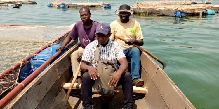 Good News, How 25 PDM Beneficiaries Turned UGX 25 Million into a Thriving Fish Farming Enterprise in Mayuge