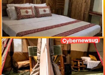 Make Your Rwenzori Marathon Weekend an Adventure: Camp at Voyagers Centre Kikorongo
