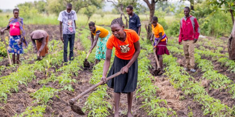 Tension, Uganda Farmers Face Growing Pressure to Adapt as Climate Risks Intensify